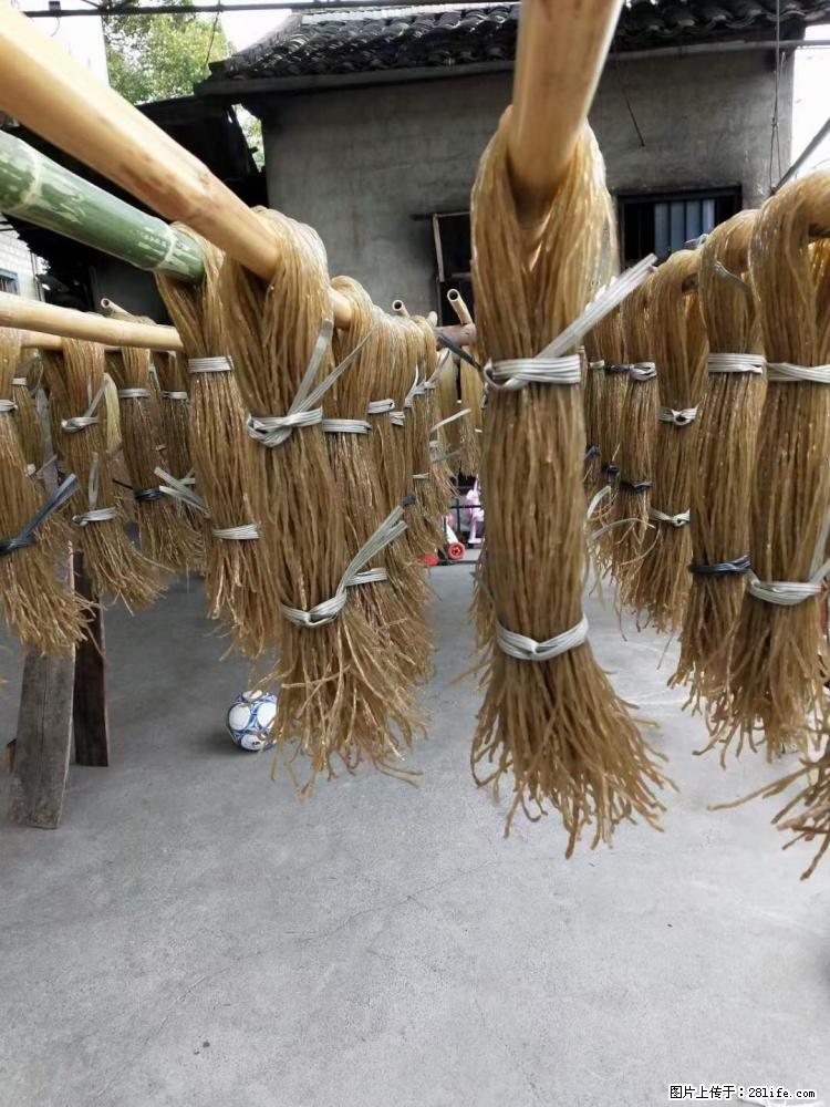【灌阳正宗红薯粉】美女家里自己做的,干净卫生,假一赔十,价格合理,抢购电话:13737312895 - 土特产 - 饮食特产 - 遂宁分类信息 - 遂宁28生活网 suining.28life.net