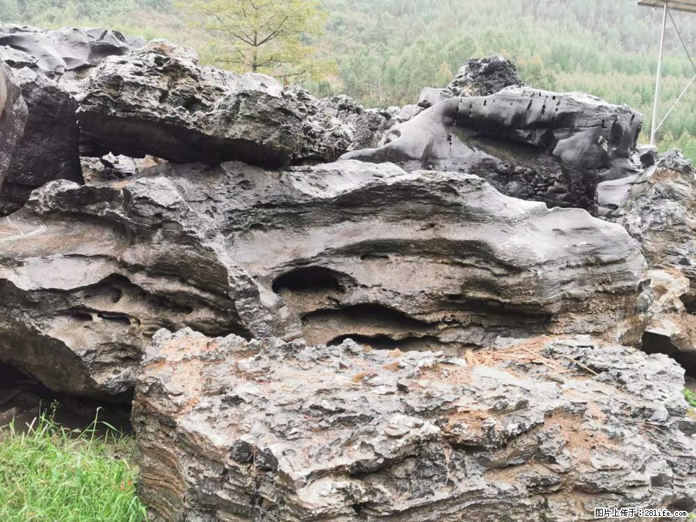风景石、假山石大量有货，有需要的欢迎联系 - 新手上路 - 遂宁生活社区 - 遂宁28生活网 suining.28life.net