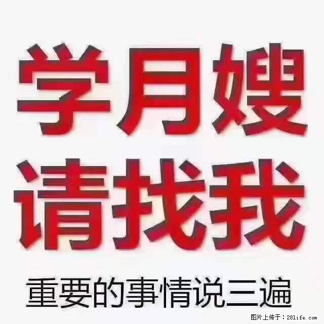 为什么要学习月嫂，育婴师？ - 新手上路 - 遂宁生活社区 - 遂宁28生活网 suining.28life.net