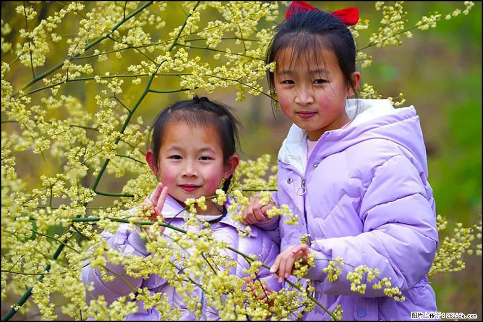 【春天，广西桂林灌阳县向您发出邀请！】米珠山前有片山苍子花在飘香 - 游山玩水 - 遂宁生活社区 - 遂宁28生活网 suining.28life.net