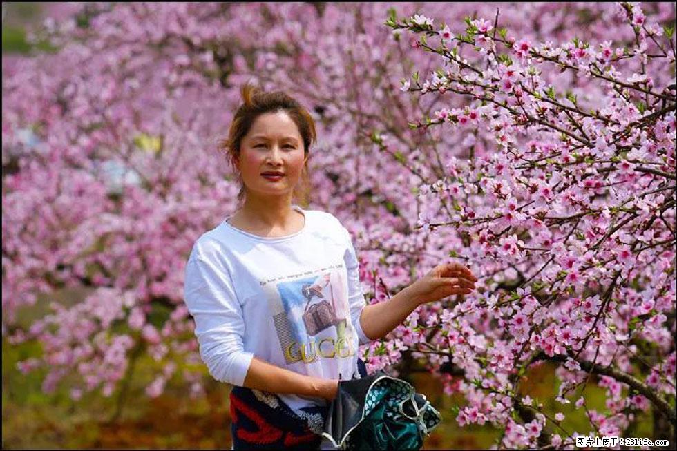 【春天，广西桂林灌阳县向您发出邀请！】官庄村有个醉美的桃花园 - 游山玩水 - 遂宁生活社区 - 遂宁28生活网 suining.28life.net