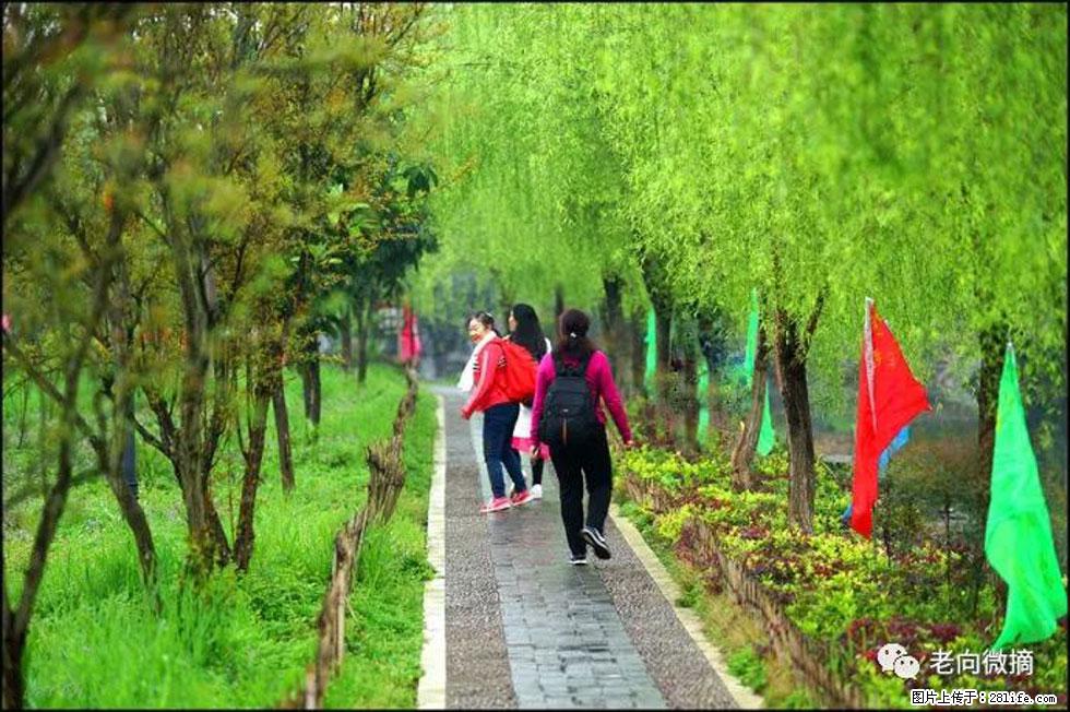 【春天，广西桂林灌阳县向您发出邀请！】江口老街又逢春 - 游山玩水 - 遂宁生活社区 - 遂宁28生活网 suining.28life.net