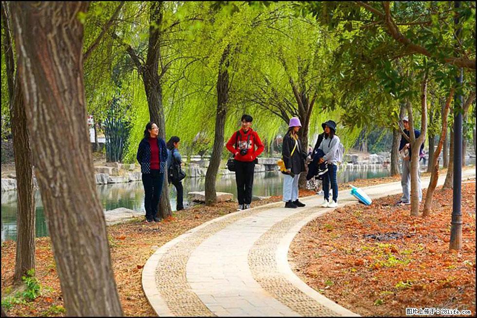 【春天，广西桂林灌阳县向您发出邀请！】江口老街又逢春 - 游山玩水 - 遂宁生活社区 - 遂宁28生活网 suining.28life.net