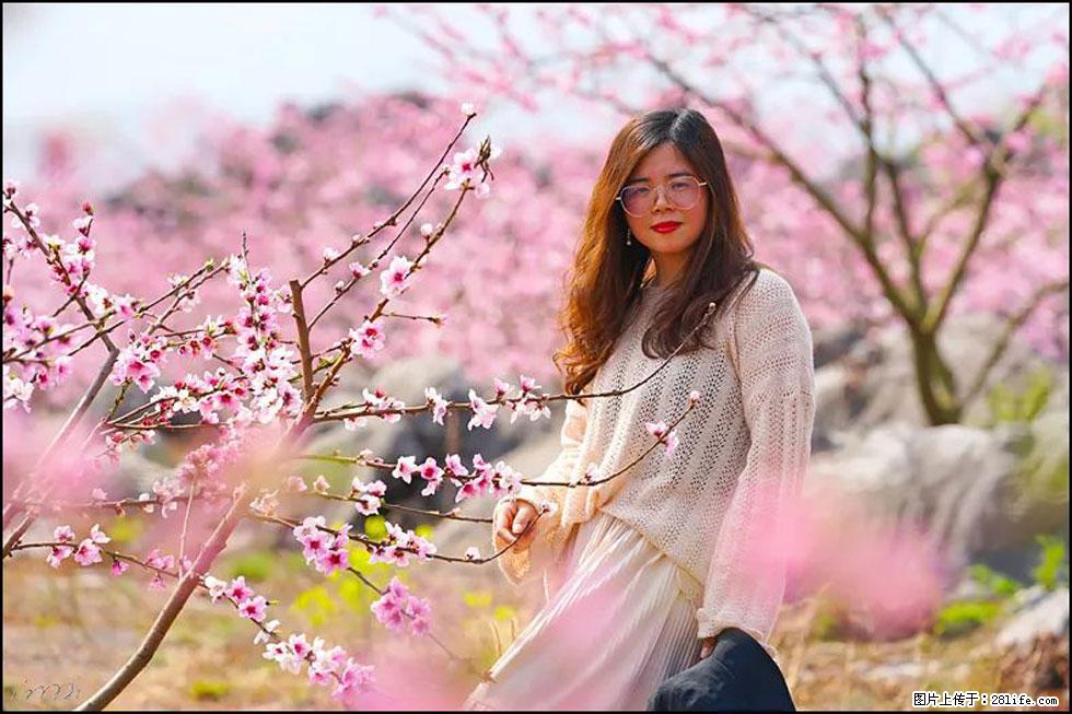 【春天，广西桂林灌阳县向您发出邀请！】望月岭上桃花开 - 游山玩水 - 遂宁生活社区 - 遂宁28生活网 suining.28life.net