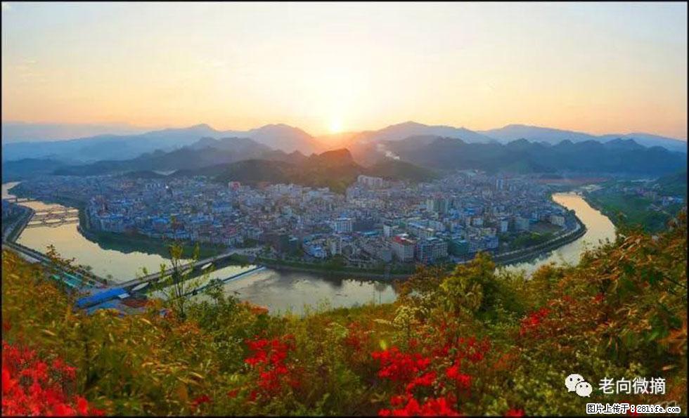 【春天，广西桂林灌阳县向您发出邀请！】登麒麟山，相约映山红 - 游山玩水 - 遂宁生活社区 - 遂宁28生活网 suining.28life.net