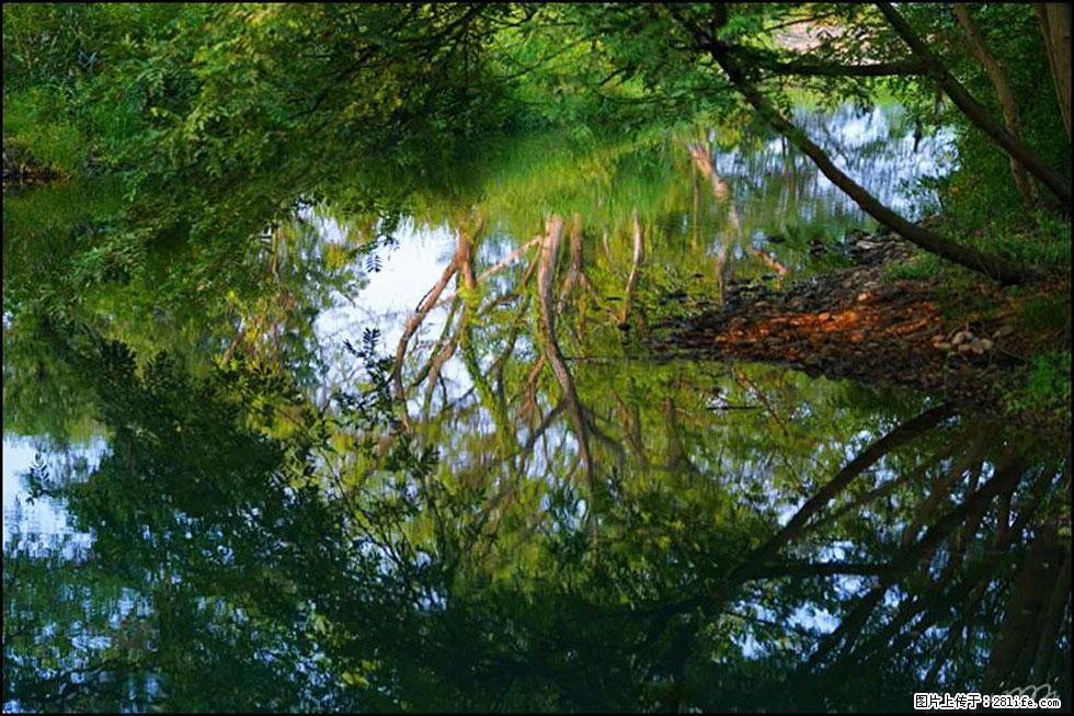 【春天，广西桂林灌阳县向您发出邀请！】熊家寨湿地公园 - 游山玩水 - 遂宁生活社区 - 遂宁28生活网 suining.28life.net