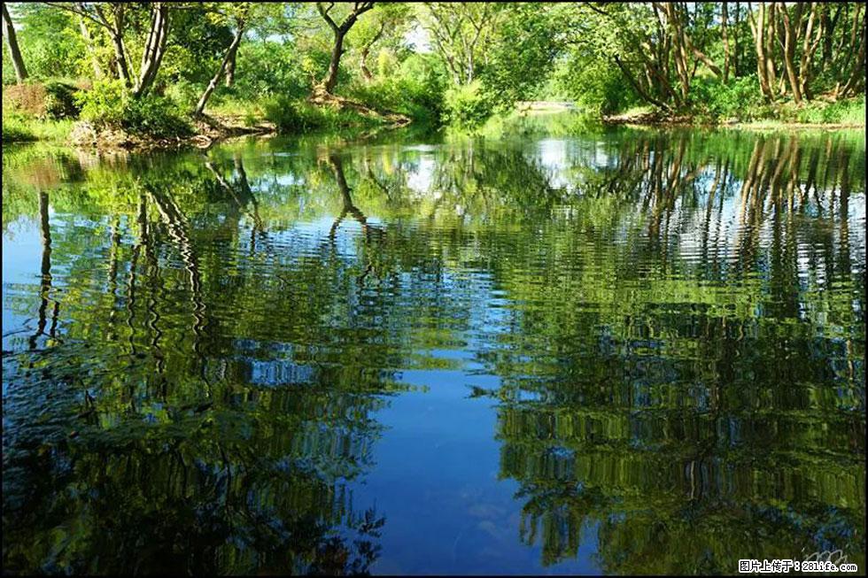 【春天，广西桂林灌阳县向您发出邀请！】熊家寨湿地公园 - 游山玩水 - 遂宁生活社区 - 遂宁28生活网 suining.28life.net