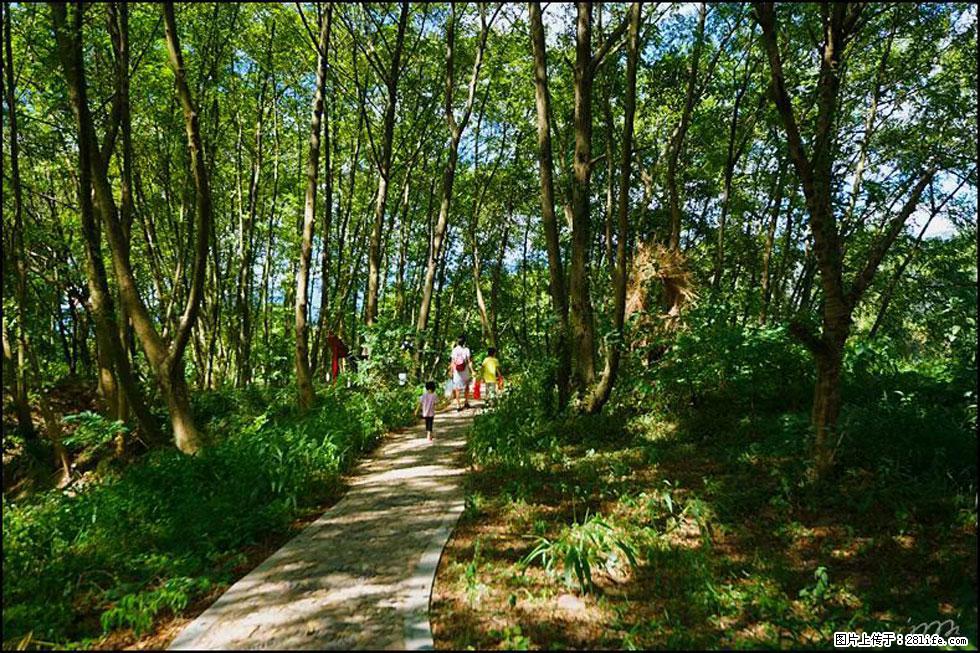 【春天，广西桂林灌阳县向您发出邀请！】熊家寨湿地公园 - 游山玩水 - 遂宁生活社区 - 遂宁28生活网 suining.28life.net