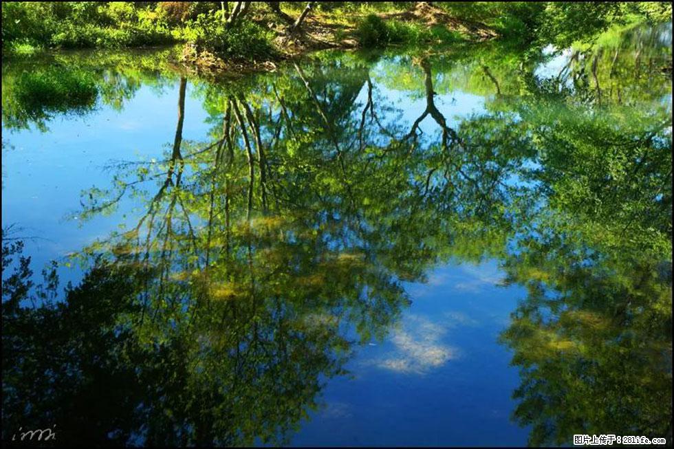 【春天，广西桂林灌阳县向您发出邀请！】熊家寨湿地公园 - 游山玩水 - 遂宁生活社区 - 遂宁28生活网 suining.28life.net