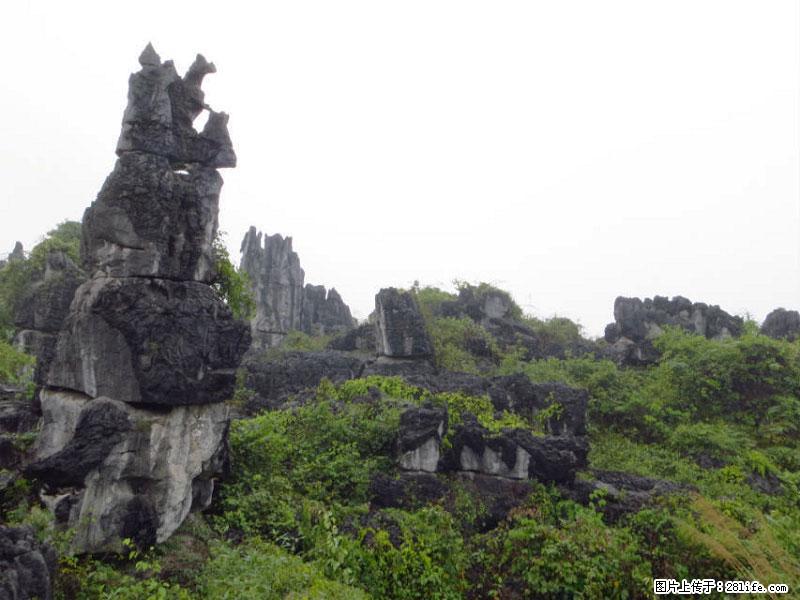 桂林旅游名城景点：灌阳文市石林 - 游山玩水 - 遂宁生活社区 - 遂宁28生活网 suining.28life.net