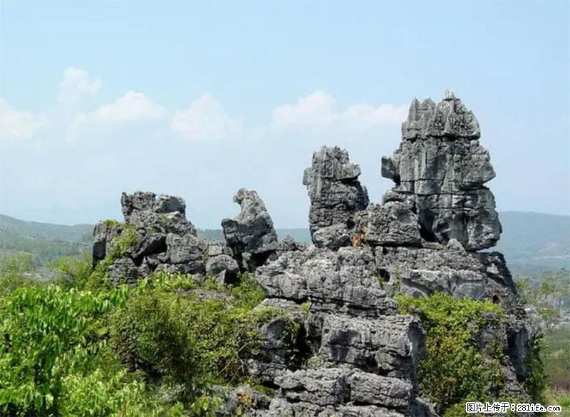 桂林旅游名城景点：灌阳文市石林 - 游山玩水 - 遂宁生活社区 - 遂宁28生活网 suining.28life.net