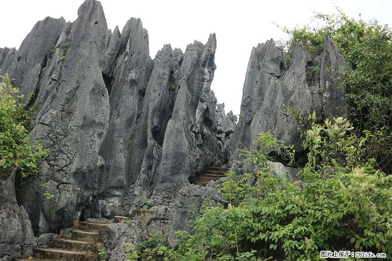 桂林旅游名城景点：灌阳文市石林 - 游山玩水 - 遂宁生活社区 - 遂宁28生活网 suining.28life.net