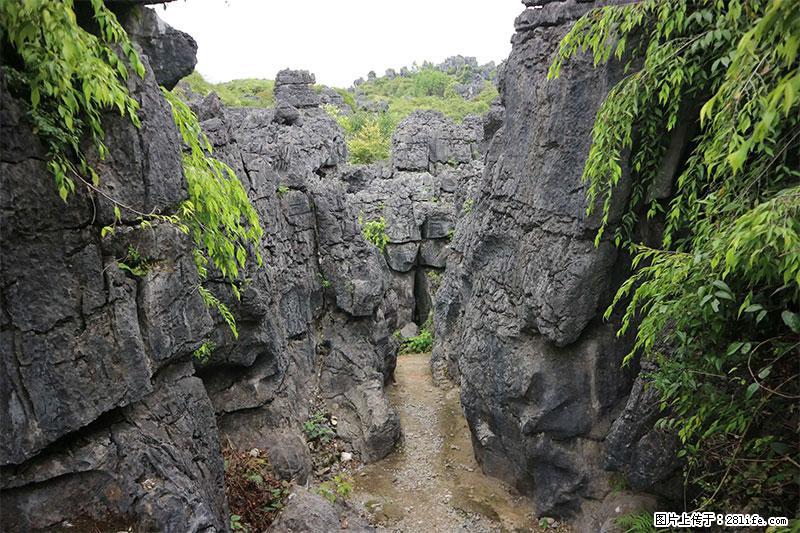 桂林旅游名城景点：灌阳文市石林 - 游山玩水 - 遂宁生活社区 - 遂宁28生活网 suining.28life.net