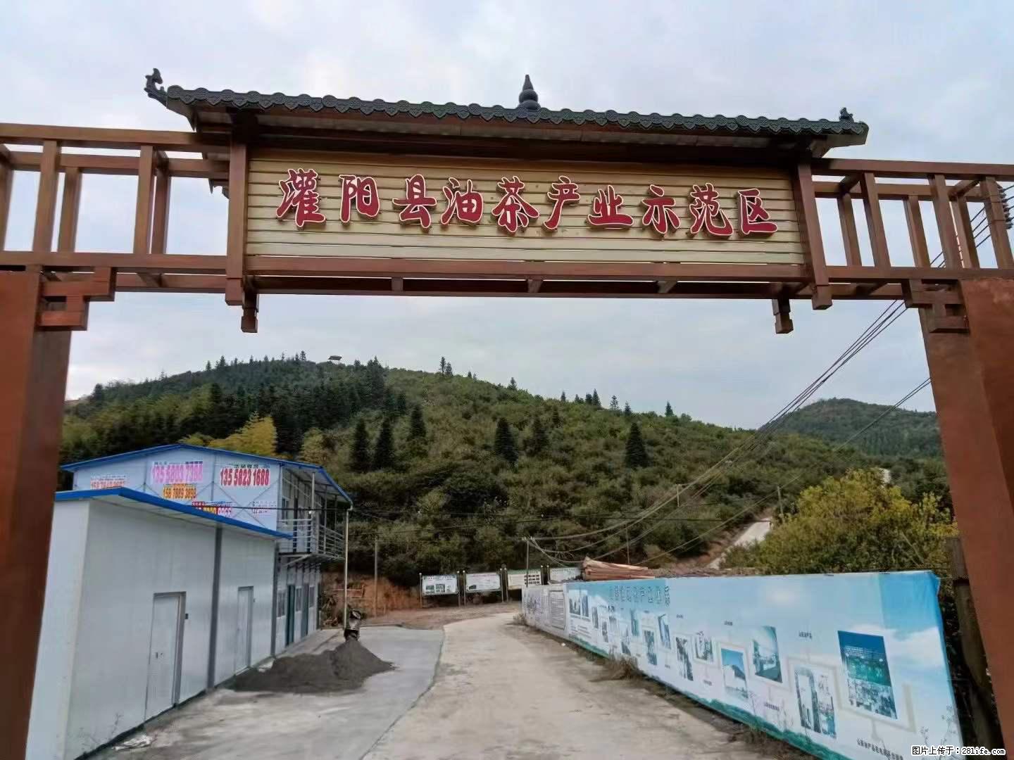 【灌阳县油茶产业示范区】一个有着充实的精神生活的人，对待身外之物自会有一种淡泊的态度 - 美食天地 - 遂宁生活社区 - 遂宁28生活网 suining.28life.net