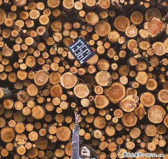 辞掉工作周游世界？现在他们在洗厕所…… - 游山玩水 - 遂宁生活社区 - 遂宁28生活网 suining.28life.net