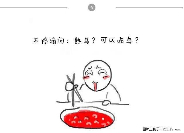 千万不要和这9种哈卵一起吃火锅！ - 美食天地 - 遂宁生活社区 - 遂宁28生活网 suining.28life.net