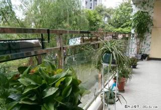 界福桥水利局宿合，有小区可停大小车！ - 遂宁28生活网 suining.28life.net