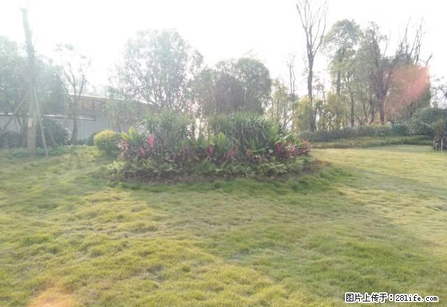 中央商务区 翰林名苑中装一室一厅东西齐全 装修新色 拎包入住 - 房屋出租 - 房屋租售 - 遂宁分类信息 - 遂宁28生活网 suining.28life.net