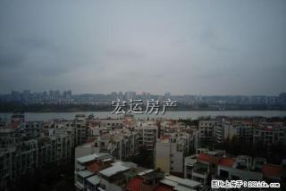 河东三桥头 奥城花园 近万达 家电全齐 季度付 随时看房 - 遂宁28生活网 suining.28life.net