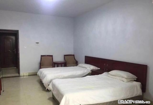 天宫路新界旺郡新装修一室一厅公寓出租 免中介费 月付800 - 房屋出租 - 房屋租售 - 遂宁分类信息 - 遂宁28生活网 suining.28life.net