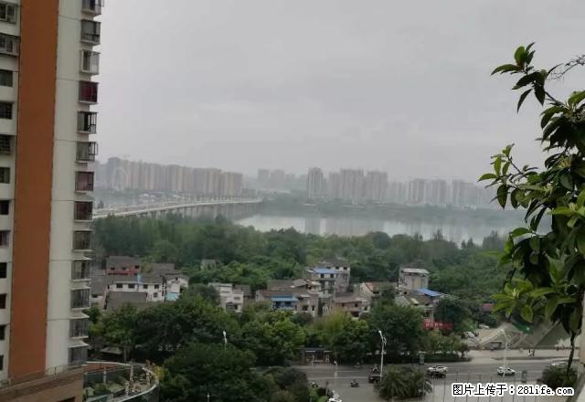 此房精装，带全部家具家电，拎包入住，业主次急租，急租，急租 - 房屋出租 - 房屋租售 - 遂宁分类信息 - 遂宁28生活网 suining.28life.net