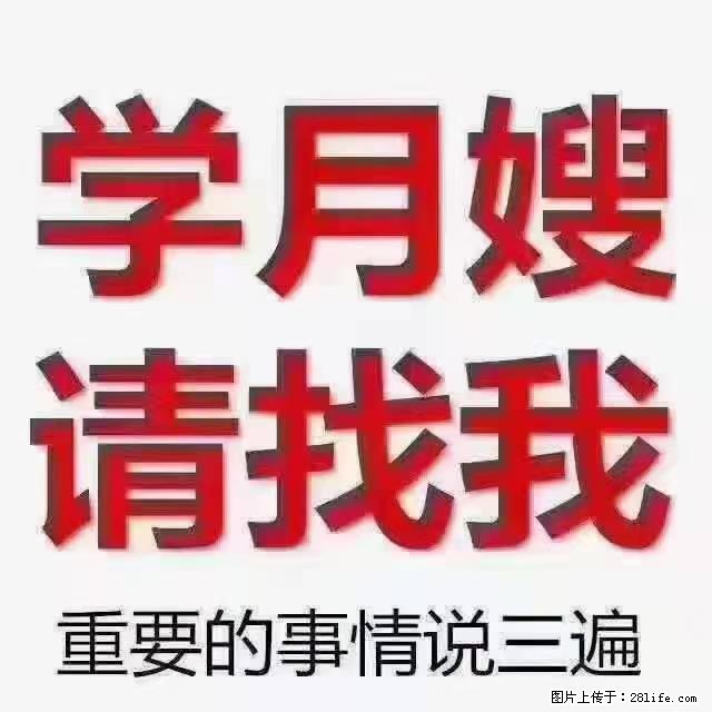 【招聘】月嫂，上海徐汇区 - 职场交流 - 遂宁生活社区 - 遂宁28生活网 suining.28life.net