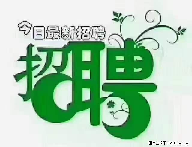 上海隔离酒店招人：55岁以下 男女不限 - 职场交流 - 遂宁生活社区 - 遂宁28生活网 suining.28life.net