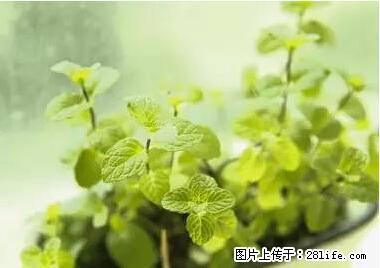 晕车、脚气、牙齿变黄、皮肤粗糙？学会这些三分钟搞定！ - 遂宁生活资讯 - 遂宁28生活网 suining.28life.net