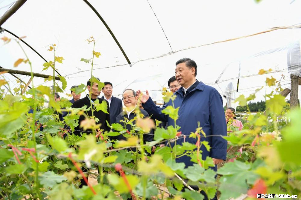 习近平赴广西考察调研 - 遂宁生活资讯 - 遂宁28生活网 suining.28life.net