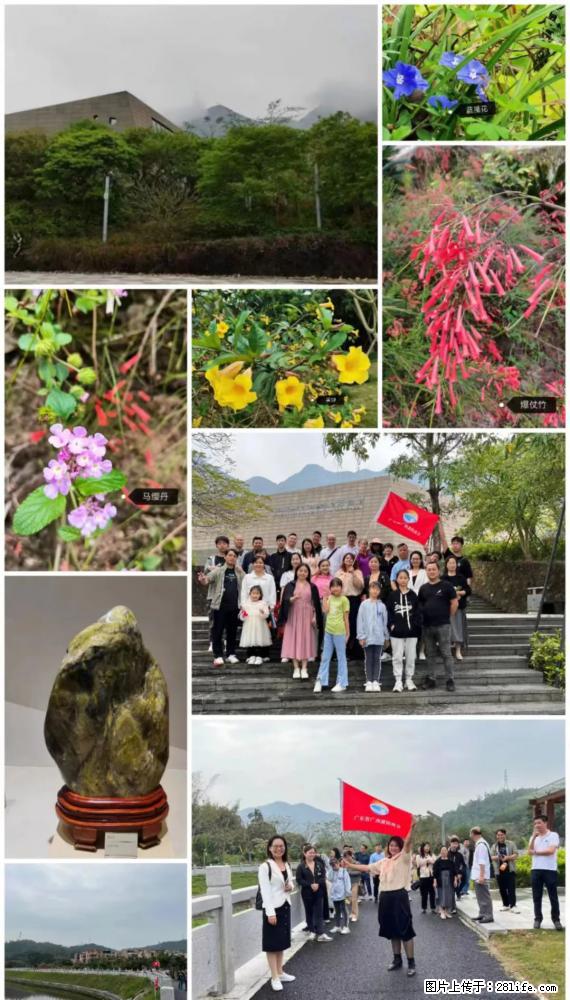 “粤灌文化 美好生活”油茶文化主题活动在广东深圳成功举办 - 遂宁生活资讯 - 遂宁28生活网 suining.28life.net