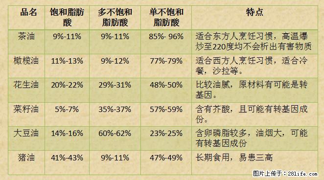 揭秘茶油的5大核心营养成分！被称为人体健康的“守护盾”！ - 遂宁生活资讯 - 遂宁28生活网 suining.28life.net