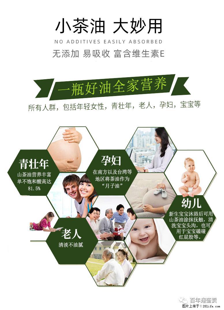 世界没有真相，只有认知，最好的食用油是中国的山茶油！ - 遂宁生活资讯 - 遂宁28生活网 suining.28life.net