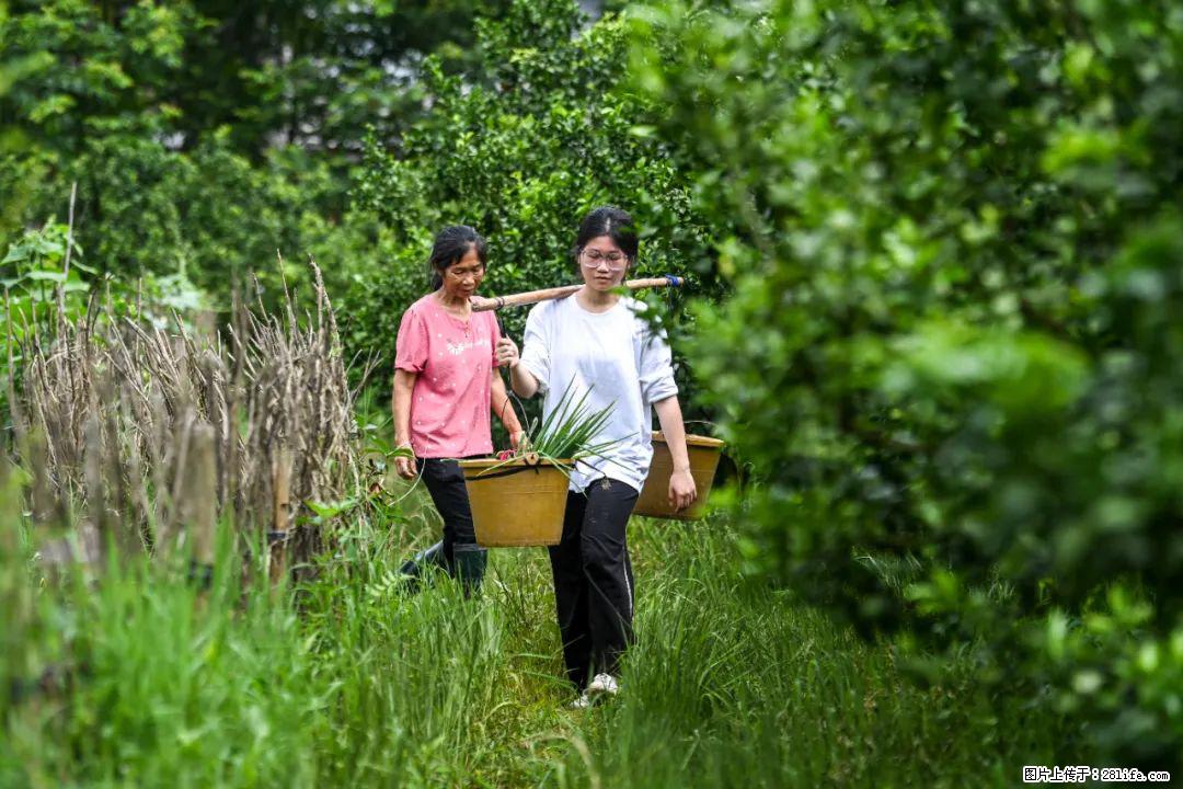 全网追的“扁担女孩”，找了一份暑假工，时薪12元 - 遂宁生活资讯 - 遂宁28生活网 suining.28life.net