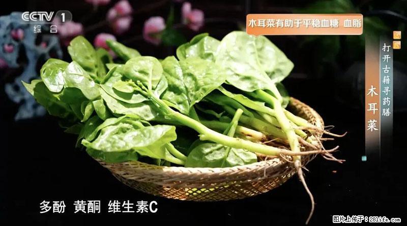 比牛奶补钙还厉害！凉血解毒、稳血糖...这菜冬天必吃，很多人却当草 - 遂宁生活资讯 - 遂宁28生活网 suining.28life.net