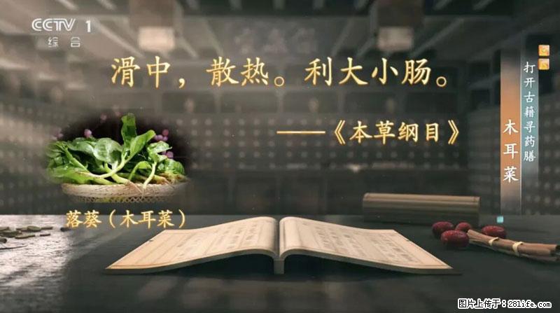 比牛奶补钙还厉害！凉血解毒、稳血糖...这菜冬天必吃，很多人却当草 - 遂宁生活资讯 - 遂宁28生活网 suining.28life.net