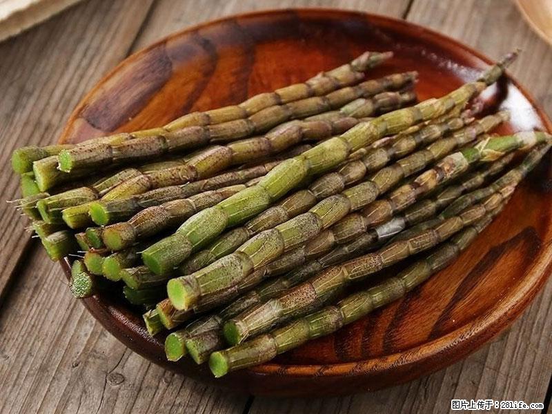 铁皮石斛的作用与功能主治 - 遂宁生活资讯 - 遂宁28生活网 suining.28life.net